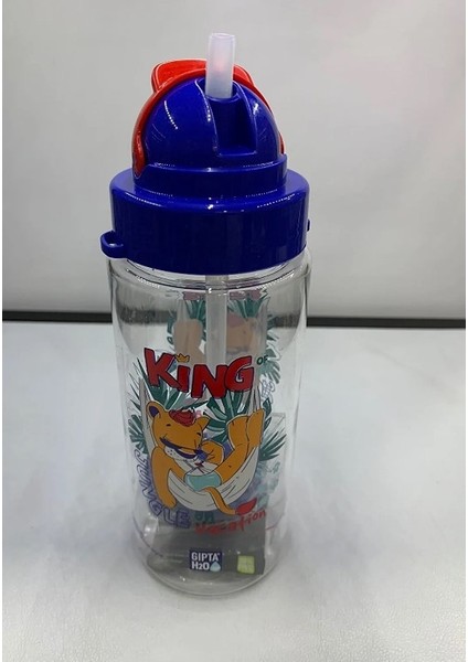 Fun Tritan Desenli Pipetli Matara 2'li 500 cc fiyatları