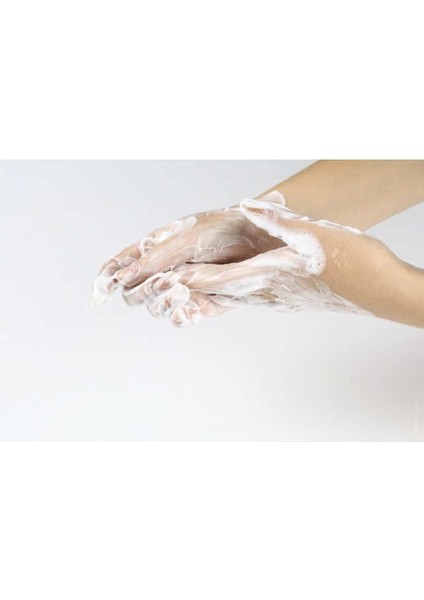 Palex Inter Mini Sıvı Sabun Dispenseri Krom Kaplama fiyatları