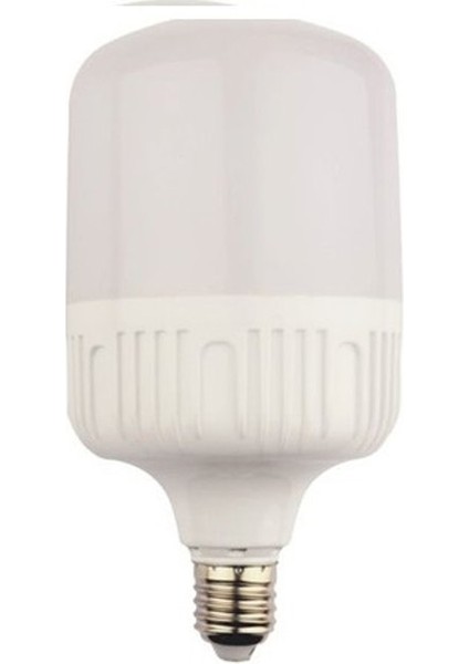 20 W Torch Ampül