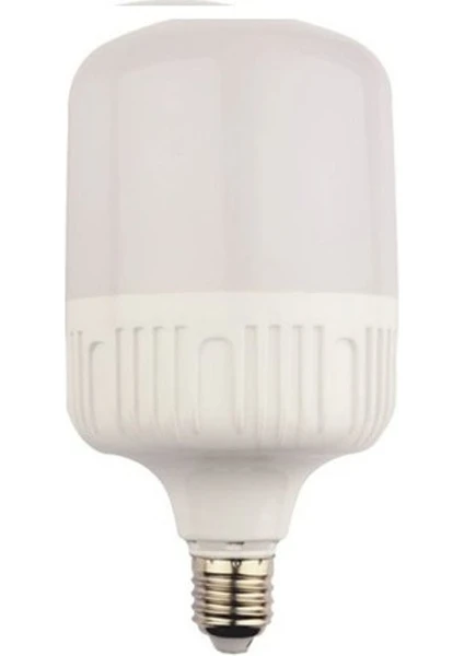 20 W Torch Ampül