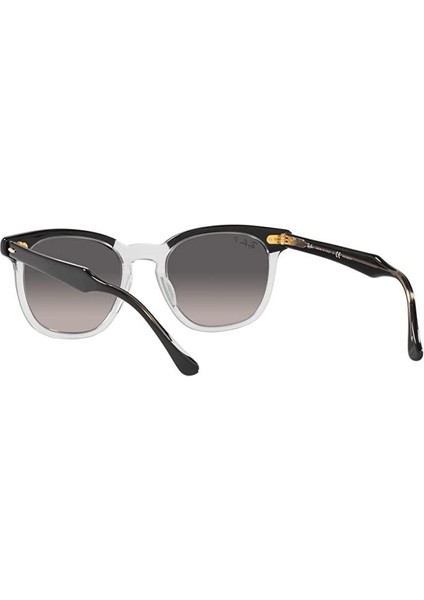 Rb 2298 1294M3 52 Polarize Hawkeye Unisex Güneş Gözlüğü fiyatları