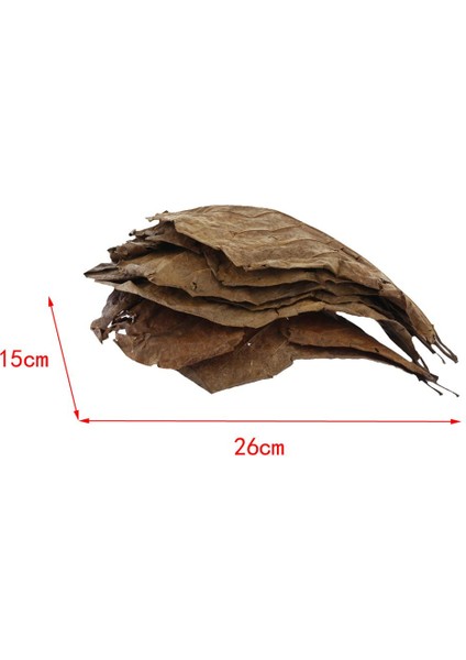 Illusory Betta Balık Için 10'lu Yaprak (Yurt Dışından)