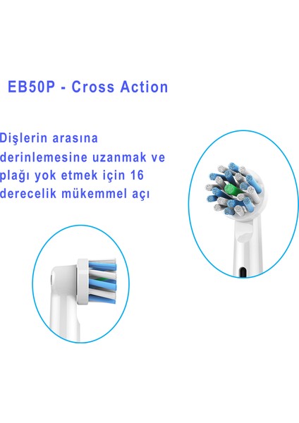 Oral B Uyumlu Diş Fırçası Yedek Başlığı Ve Başlık Koruyucu Kapak