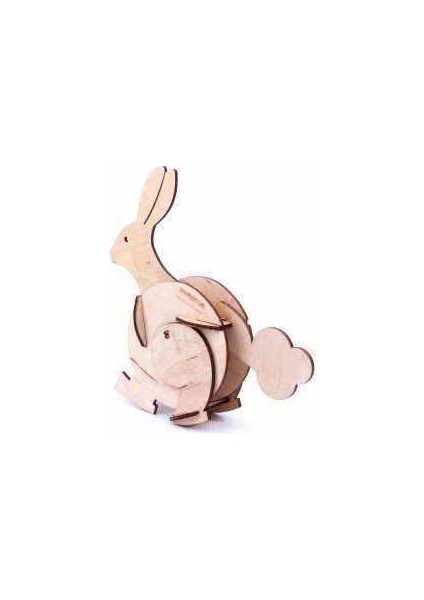 Gravity Toy