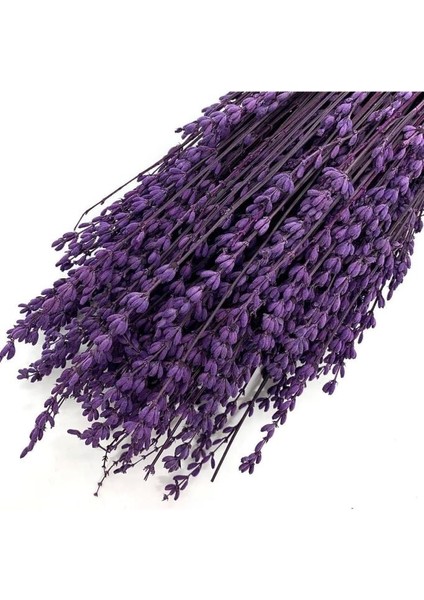 Şoklanmış Lavanta Demeti Natural Lavender Bundle Mor 40-50 cm fiyatları