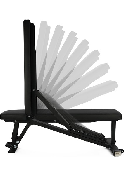 DBX24 Bench-Dambıl-Raf Seti