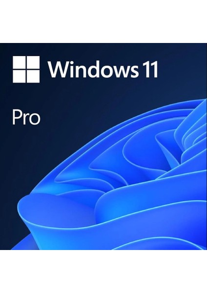 Windows 11 Pro Lisans - 32BİT/64BİT - USB