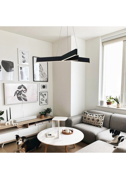 TRA61141 Eco Ø70 cm LED Avize Sarkıt Dal Quınze - Işık Rengi 6500K Soğuk Beyaz