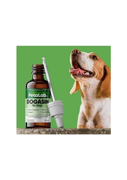 Dogasin For Dogs 50 ml - Köpekler Için Kolajenli Tüy Sağlığı Damlası