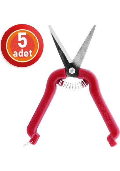 5 Adet Akman Narenciye Üzüm Çiçek Bağ Dal Budama Makası Düz Uçlu 18 cm