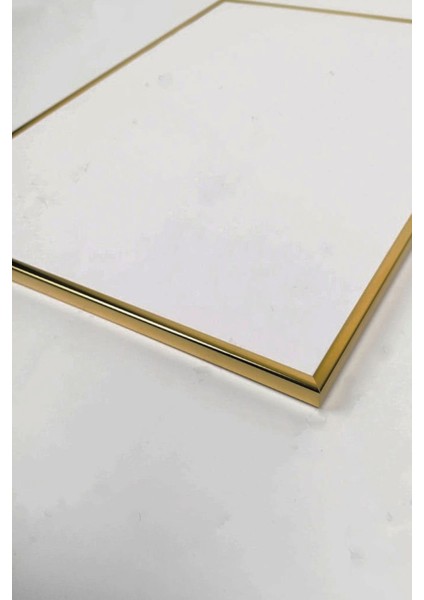 Ikili Gold Alüminyum Metal Çerçeveli Camlı Beyaz Çiçekli Poster Tablo Seti indirimleri