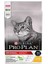 Tavuk ve Pirinçli Yetişkin Kedi Maması 3kg Skt 08.2022 1