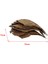 Illusory Betta Balık Için 10'lu Yaprak (Yurt Dışından) 5