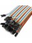 40 Pin Ayrılabilen Dişi-Dişi F-F Jumper Kablo - 300 mm 1