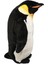 Leonardini - Douglas - Orville - Peluş İmparator Penguen - 84cm 1