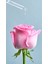 NIVEA Aqua Rose Organik Gül Suyu İçeren Nemlendirici Tonik (200ml) Tüm cilt tipleri için 24 Saat Yüz Nemlendirici 4