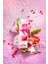 Senses Sweat & Joyful Frezya ve Nar Kokulu Krem Duş Jeli 500 ml 3