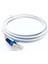 Patch Cord S/ftp CAT6A 3 mt Grey 1