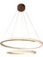 TRA30052 Eco Ø60 cm LED Avize Sarkıt Saturn - Işık Rengi 4000K Doğal Beyaz 2