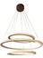 TRA30051 Eco Ø60 cm LED Avize Sarkıt Saturn - Işık Rengi 3000K Sıcak Beyaz 2