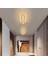 TRA54112 Eco 60*16 cm LED Avize Plafonyer Basıs - Işık Rengi 6500K Soğuk Beyaz 3