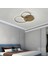 TRA32034 Eco 65*60 cm LED Avize Plafonyer Mıckey - Işık Rengi 4000K Doğal Beyaz 1