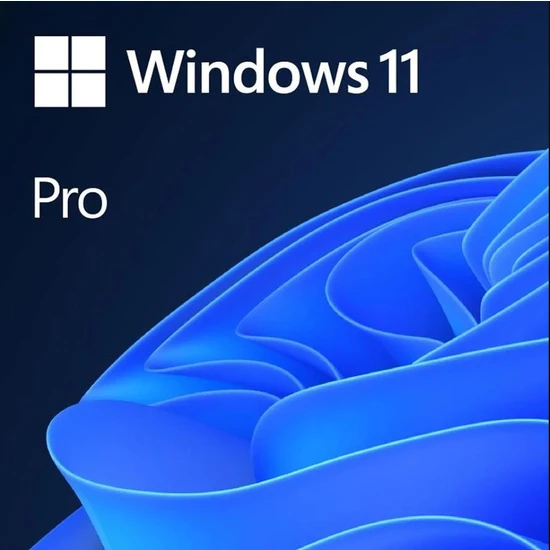 Microsoft Windows 11 Pro Lisans - 32BİT/64BİT - USB