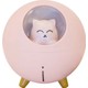  Renk Pembe
