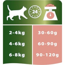 Pro Plan Sterilised Kısırlaştırılmış Somonlu Kedi Maması 3 kg (2 Adet)