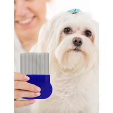 Mujgan Kedi Köpek Bit Tarağı