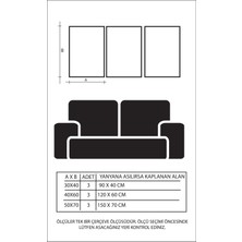 Linacci Üçlü Gümüş Alüminyum Metal Çerçeveli Camlı Poster Tablo Seti