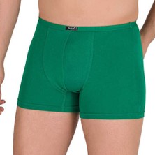 Berrak 4488 Erkek Modal Boxer - Yeşil - S