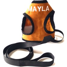 Terzim Ayşenur Kedi Köpek Tasma Seti Isme Özel