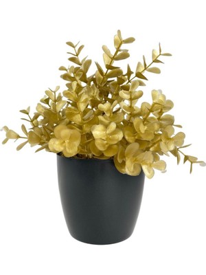 Nettenevime Yapay Çiçek Gold Renk Şimşir Siyah Saksıda Siyah Plastik Saksılı Dekoratif Süs Çiçeği