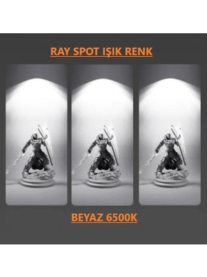 Sekatech Mini Ray Spot Dekoratif Bir Takım Ampullu Ev Ofis Mağaza Vitrin Aydınlatma Siyah Kasa 6500K