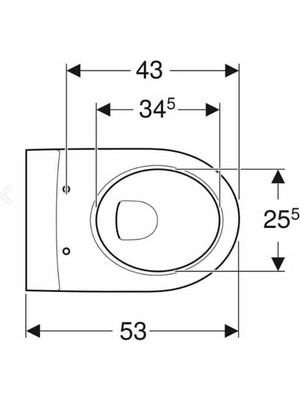 Geberit Icon Klozet Asma Kanallı 53 cm + Geberit Klozet Kapağı