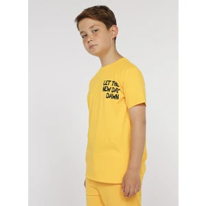 Funky Rocks Bisiklet Yaka Normal Kalıp Baskılı Sarı Erkek Çocuk T-Shirt - Funky-B04