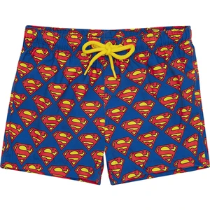 Çok Renkli Erkek Şort Mayo SM21120179 Kalel Junior Short Short