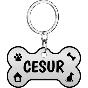 Isme Özel Köpek Isim Künyesi Kaybolursam Ara