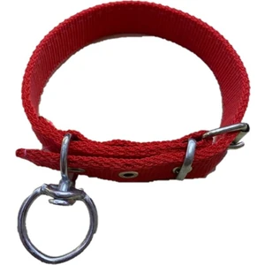 Güzelce Yapı Kedi - Köpek Boyun Tasması 50 cm