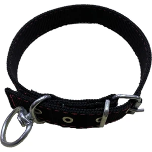 Güzelce Yapı Kedi - Köpek Boyun Tasması 50 cm