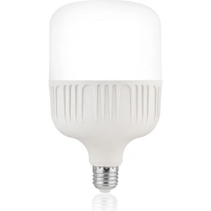 LED Torch Ampul Beyaz 30W