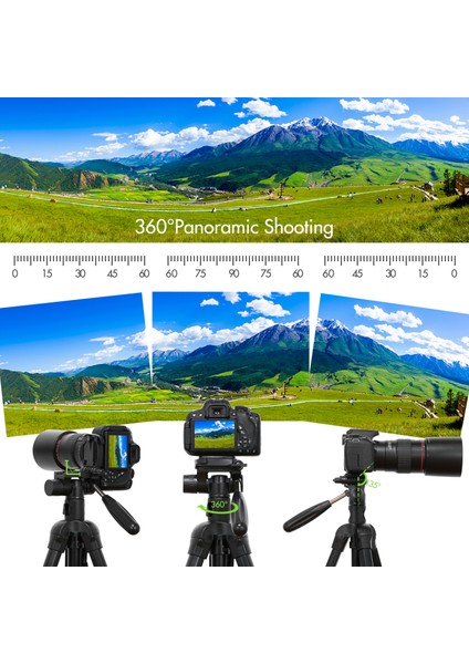 TTT-009 168CM/66.14INCH Taşınabilir Fotoğrafçılık(Yurt Dışından) indirimleri