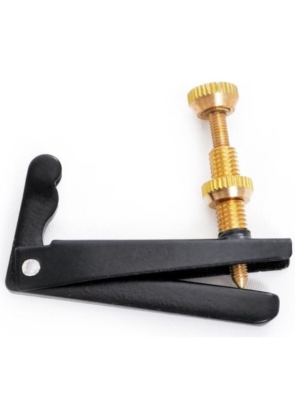 Keman Fiksi Profesyonel VFB40