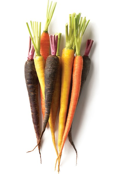 Gökkuşağı Havuç Tohumu + Çimlendirme Torfu