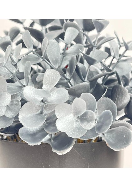 Yapay Çiçek Gümüş Renk Şimşir Siyah Saksıda Siyah Plastik Saksılı Dekoratif Süs Çiçeği modelleri