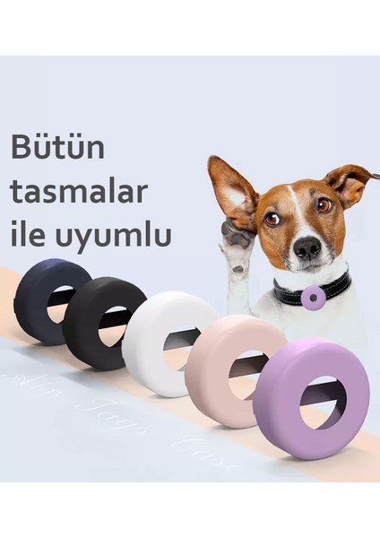 Airtag Kedi ve Köpek Tasması Kılıfı