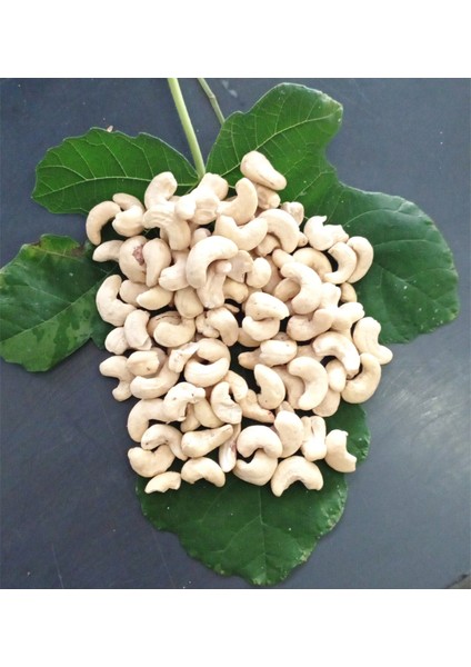 Antep Marketi Çiğ Kaju Cevizi 250 gr
