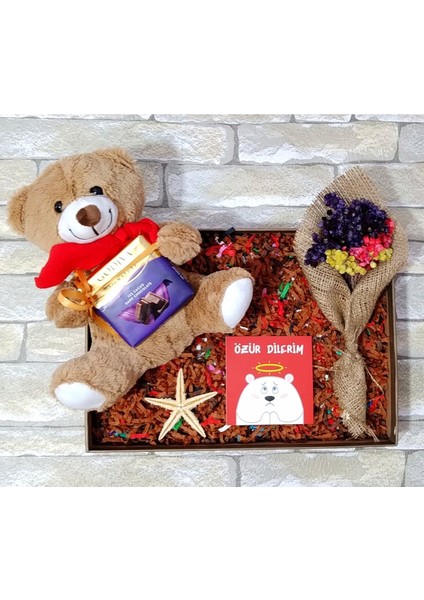Özür Dilerim Hediye Paketi, Sevgiliye Özür Hediyesi, Çikolata, Peluş Ayıcık ve Çiçek, Model2