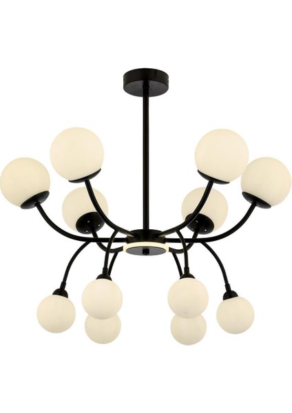 AV-60386-12BSY Siyah Boyalı Modern Avize G9 Metal Cam 85cm